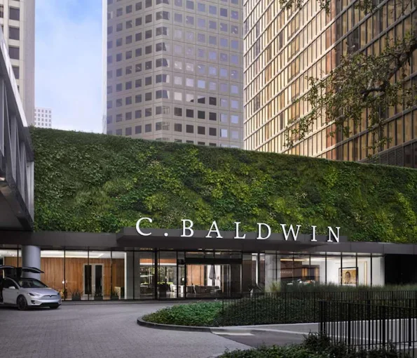 C. Baldwin Curio Collection by Hilton